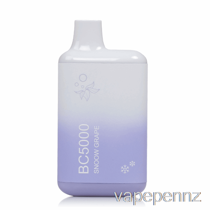 BC5000 Disposable Snoow Grape VAPE NZ